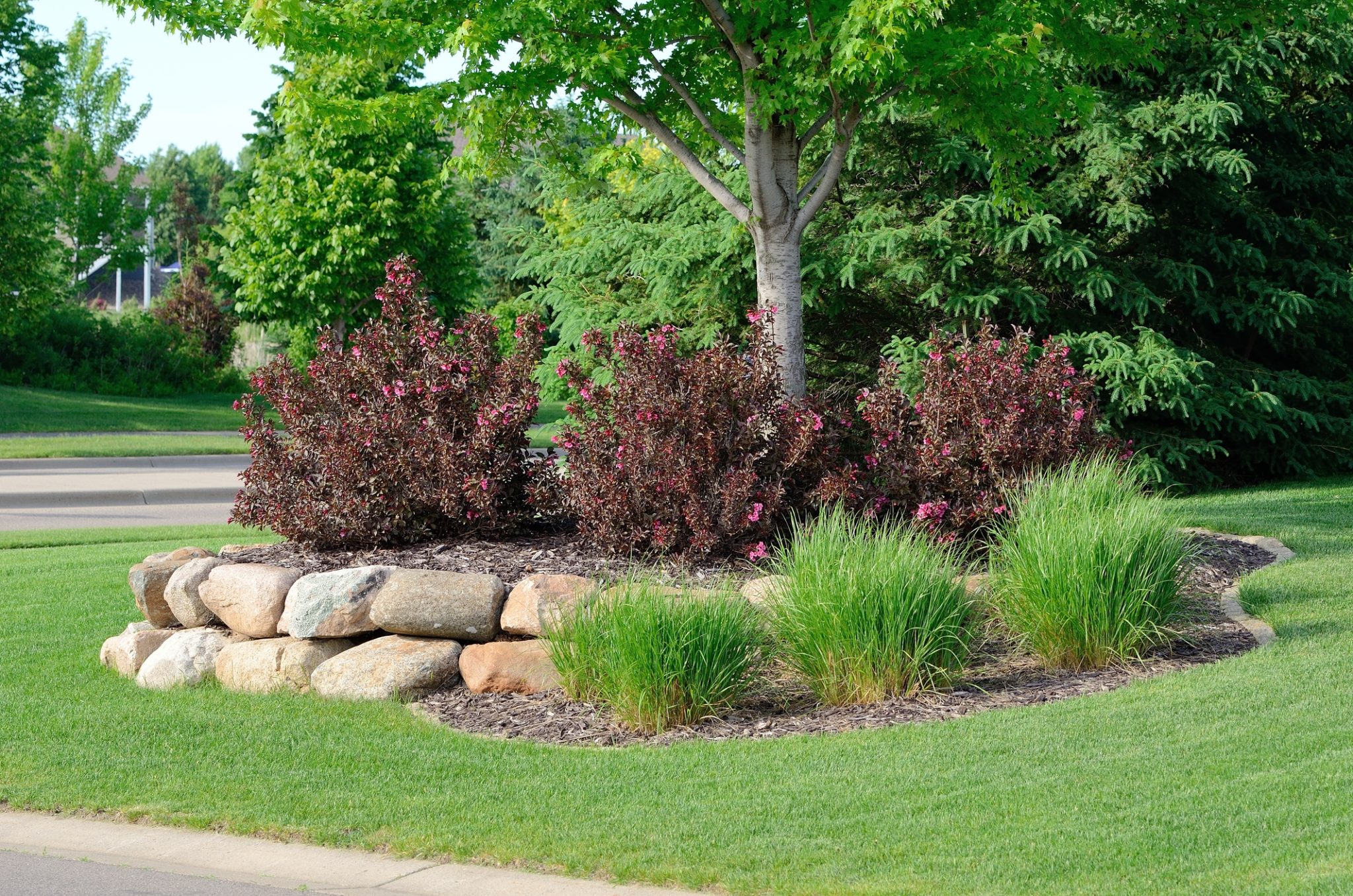 Tree and Shrub Care Sod Services LLC